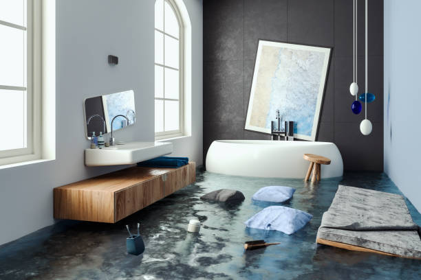 Best Water damage cleanup near me  in Holland, TX