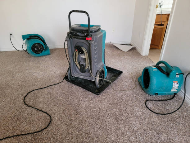 Best Emergency water damage restoration  in Holland, TX