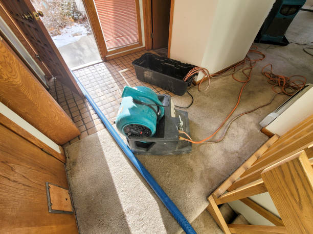 Best 24-hour water damage restoration  in Holland, TX
