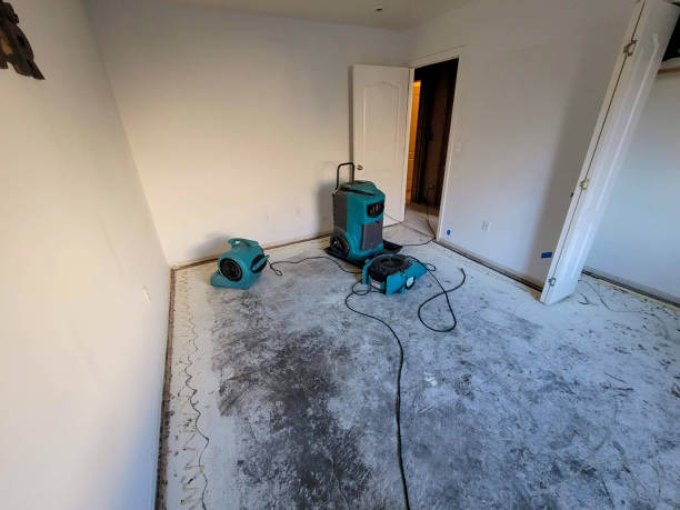 Best Flood damage cleanup  in Holland, TX