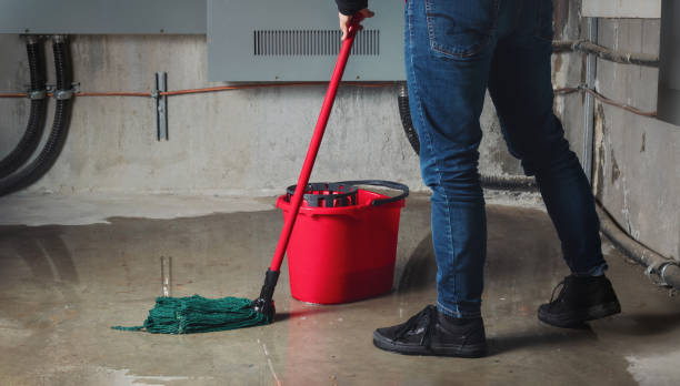 Best Flood damage cleanup  in Holland, TX