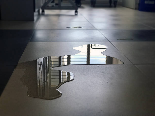 Best Water damage mitigation services  in Holland, TX
