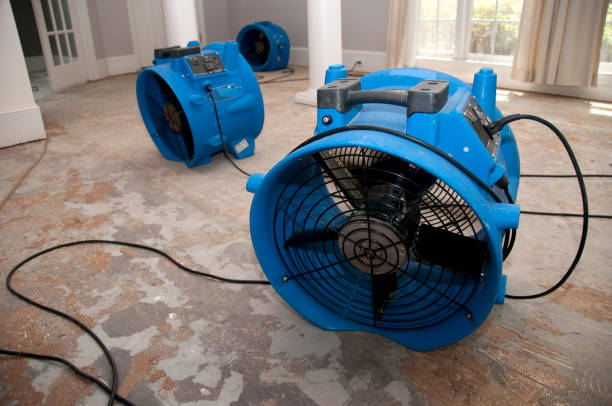 Holland, TX Water damage restoration Company