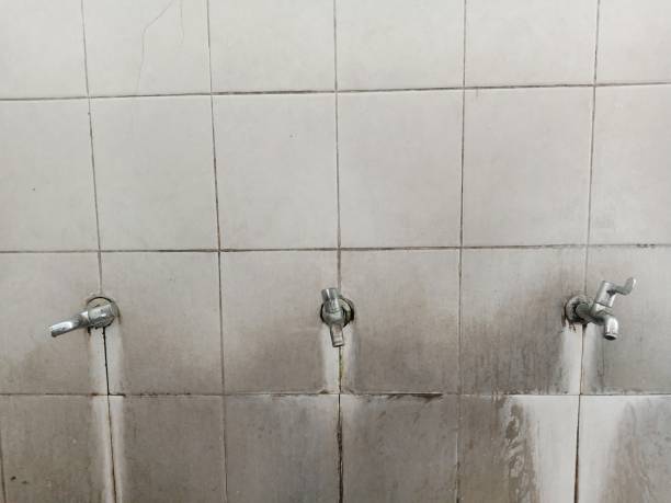 Best Fire Damage Restoration  in Holland, TX